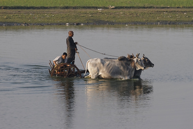 Mandalay-U Bein-102